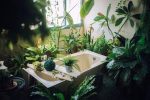 modele plante interior