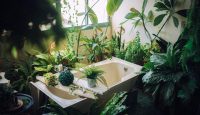 modele plante interior