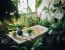 modele plante interior